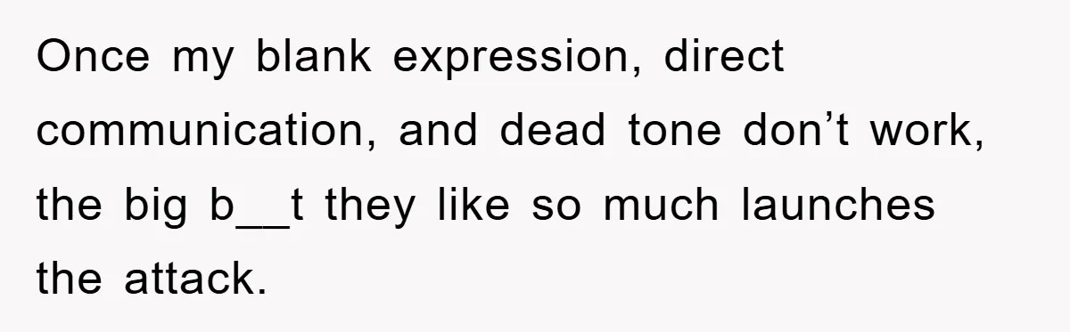 Once my blank expression, direct communication, and dead tone don’t work, the big b__t they like so much launches the attack.