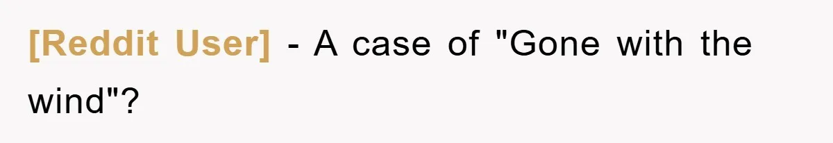 [Reddit User] − A case of "Gone with the wind"?