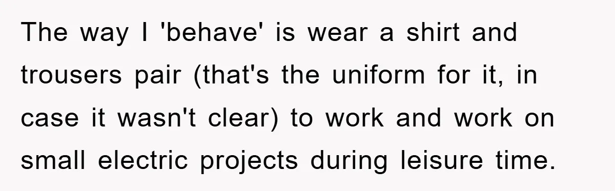 The way I 'behave' is wear a shirt and trousers pair (that's the uniform for it, in case it wasn't clear) to work and work on small electric projects during...