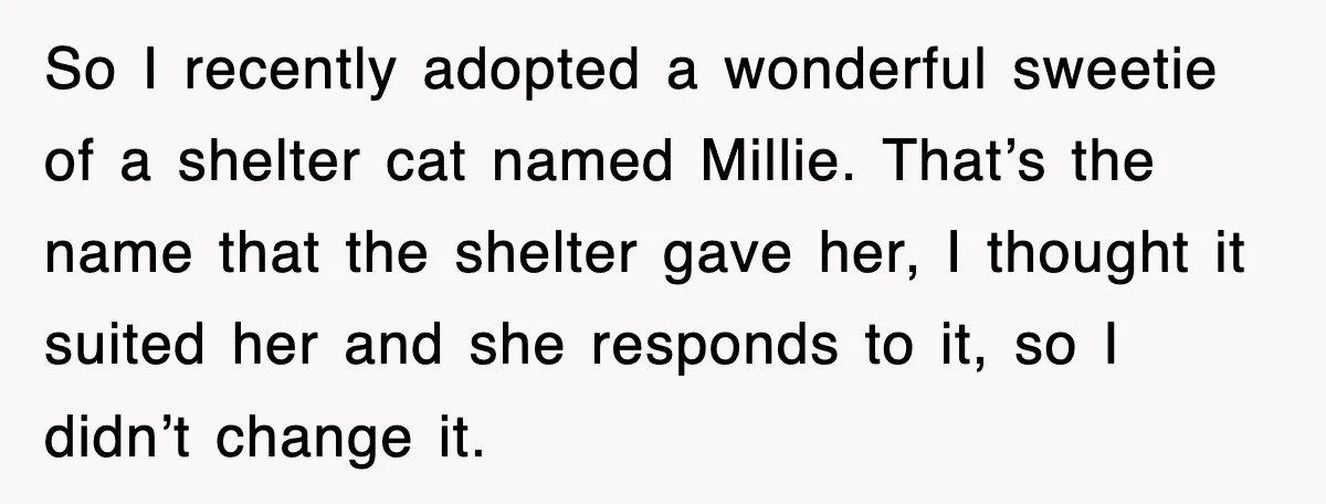 So I recently adopted a wonderful sweetie of a shelter cat named Millie. That’s the name that the shelter gave her, I thought it suited her and she responds to...