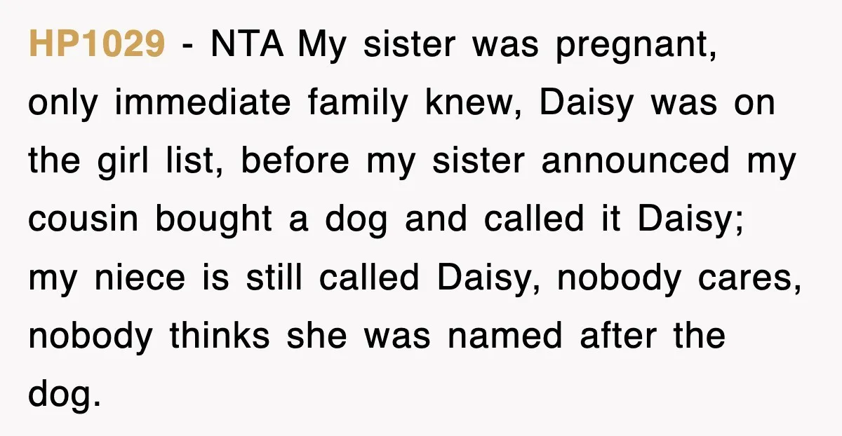 HP1029 − NTA My sister was pregnant, only immediate family knew, Daisy was on the girl list, before my sister announced my cousin bought a dog and called it Daisy;...