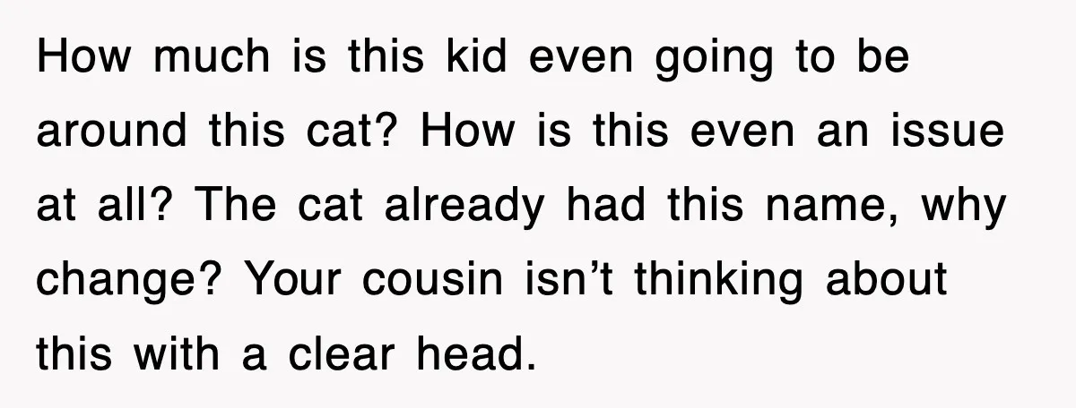 How much is this kid even going to be around this cat? How is this even an issue at all? The cat already had this name, why change? Your cousin...