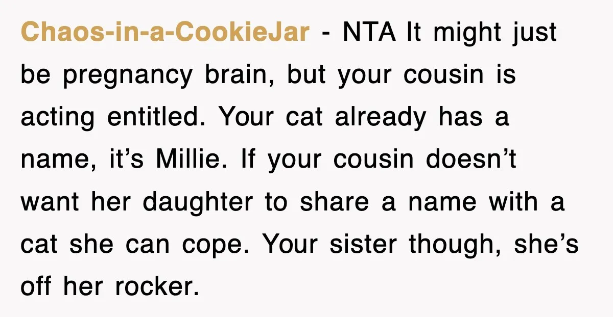 Chaos-in-a-CookieJar − NTA It might just be pregnancy brain, but your cousin is acting entitled. Your cat already has a name, it’s Millie. If your cousin doesn’t want her daughter...