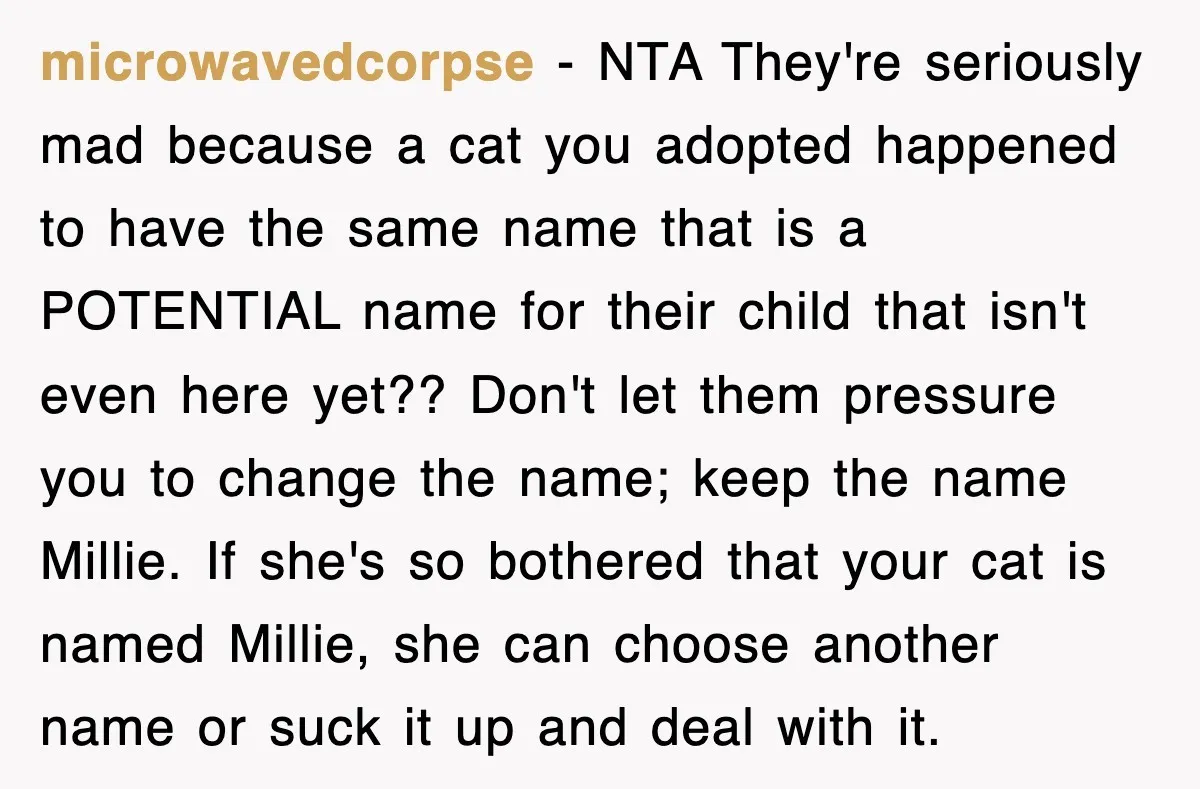 microwavedcorpse − NTA They're seriously mad because a cat you adopted happened to have the same name that is a POTENTIAL name for their child that isn't even here yet??...