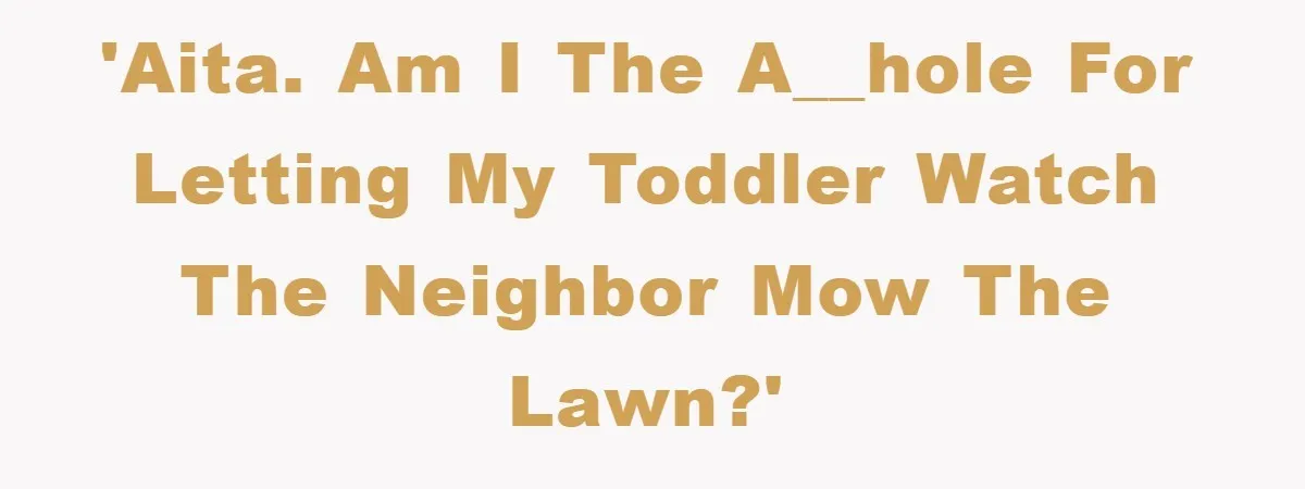 'AITA. Am I the a__hole for letting my toddler watch the neighbor mow the lawn?'