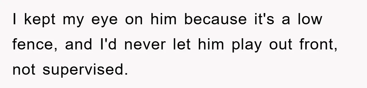 I kept my eye on him because it's a low fence, and I'd never let him play out front, not supervised.