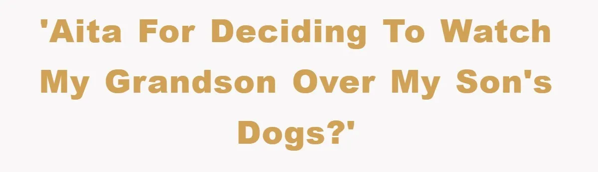 'AITA for Deciding to Watch my Grandson over my Son's Dogs?'