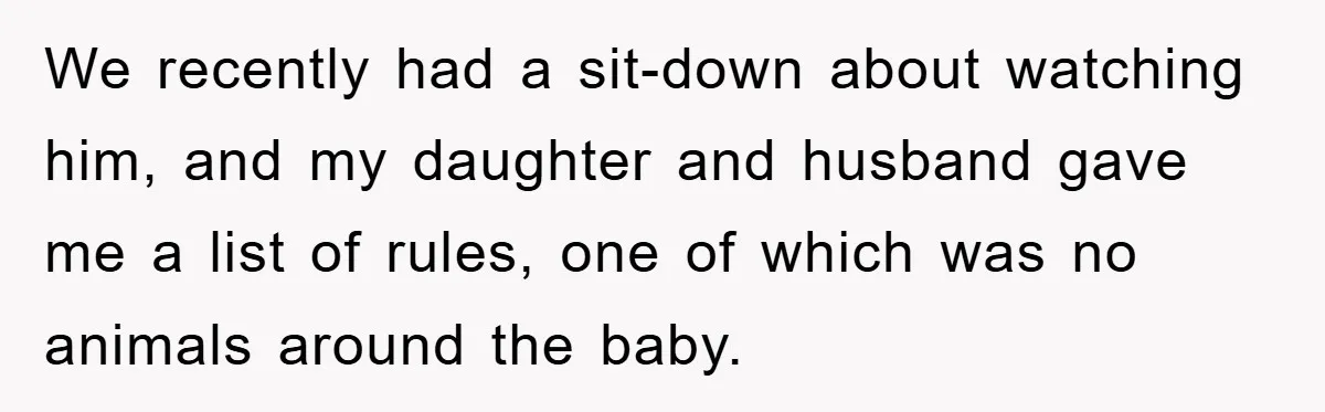 We recently had a sit-down about watching him, and my daughter and husband gave me a list of rules, one of which was no animals around the baby.