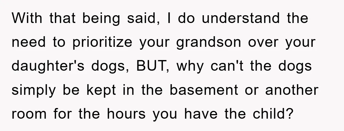 With that being said, I do understand the need to prioritize your grandson over your daughter's dogs, BUT, why can't the dogs simply be kept in the basement or another...
