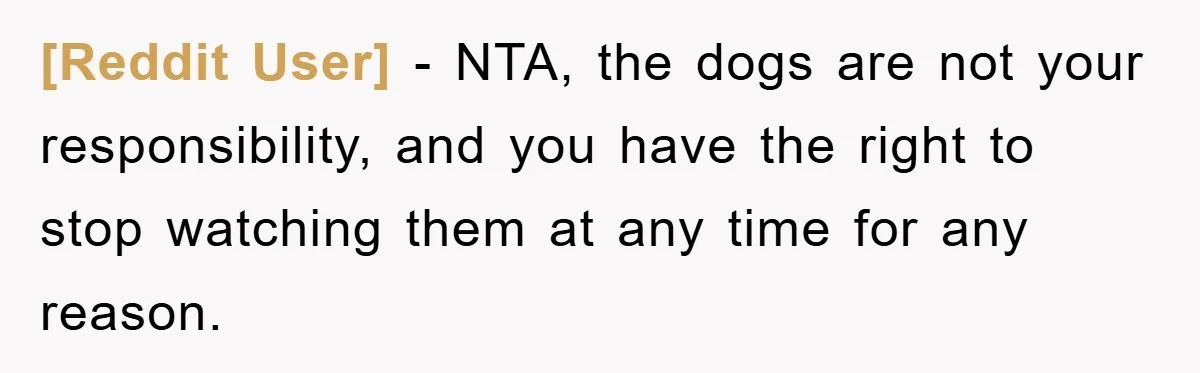 [Reddit User] − NTA, the dogs are not your responsibility, and you have the right to stop watching them at any time for any reason.
