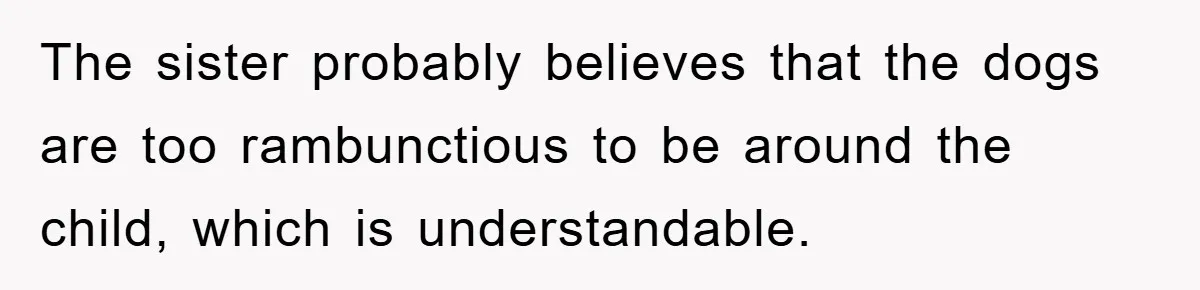 The sister probably believes that the dogs are too rambunctious to be around the child, which is understandable.