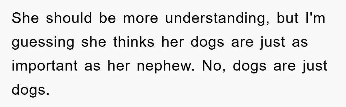 She should be more understanding, but I'm guessing she thinks her dogs are just as important as her nephew. No, dogs are just dogs.