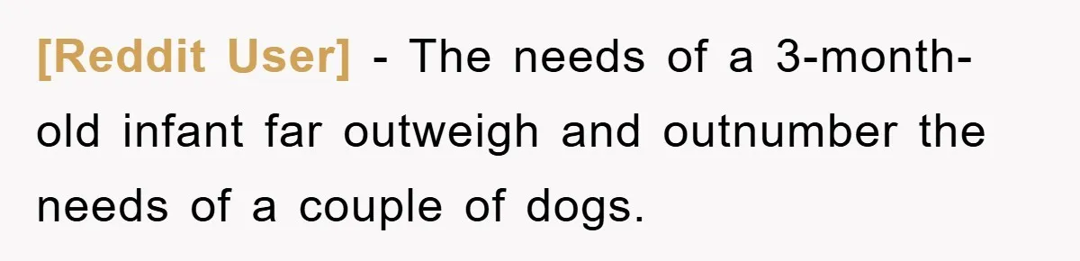 [Reddit User] − The needs of a 3-month-old infant far outweigh and outnumber the needs of a couple of dogs.