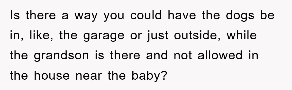 Is there a way you could have the dogs be in, like, the garage or just outside, while the grandson is there and not allowed in the house near the...