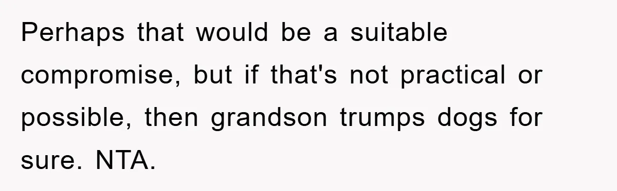 Perhaps that would be a suitable compromise, but if that's not practical or possible, then grandson trumps dogs for sure. NTA.