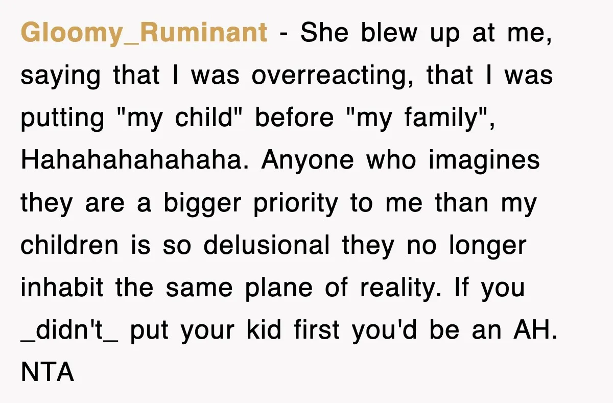 Gloomy_Ruminant − She blew up at me, saying that I was overreacting, that I was putting "my child" before "my family", Hahahahahahaha. Anyone who imagines they are a bigger priority...