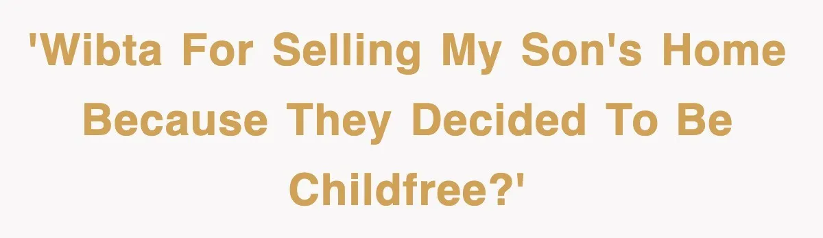 'WIBTA for selling my son's home because they decided to be childfree?'