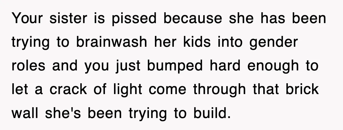 Your sister is pissed because she has been trying to brainwash her kids into gender roles and you just bumped hard enough to let a crack of light come through...