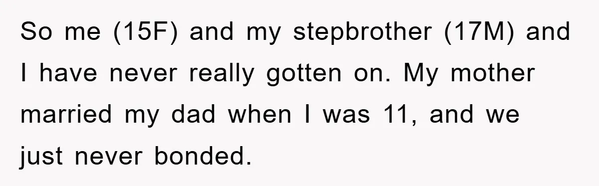 So me (15F) and my stepbrother (17M) and I have never really gotten on. My mother married my dad when I was 11, and we just never bonded.