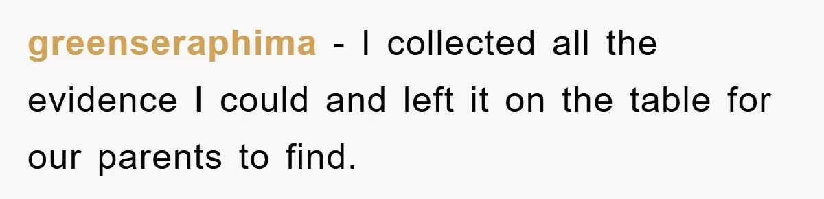 greenseraphima − I collected all the evidence I could and left it on the table for our parents to find.