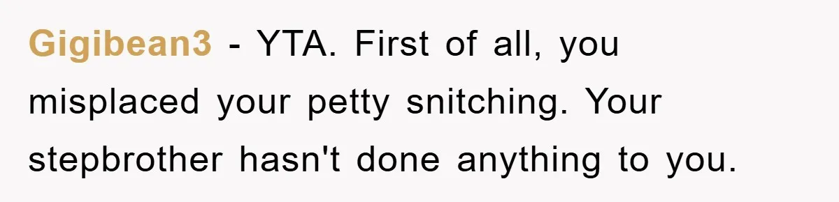 Gigibean3 − YTA. First of all, you misplaced your petty snitching. Your stepbrother hasn't done anything to you.