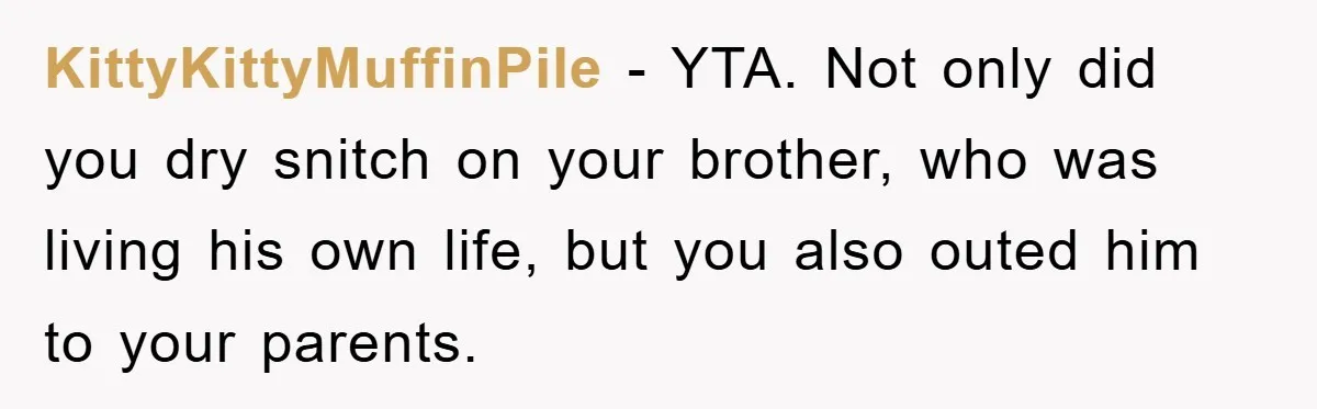 KittyKittyMuffinPile − YTA. Not only did you dry snitch on your brother, who was living his own life, but you also outed him to your parents.