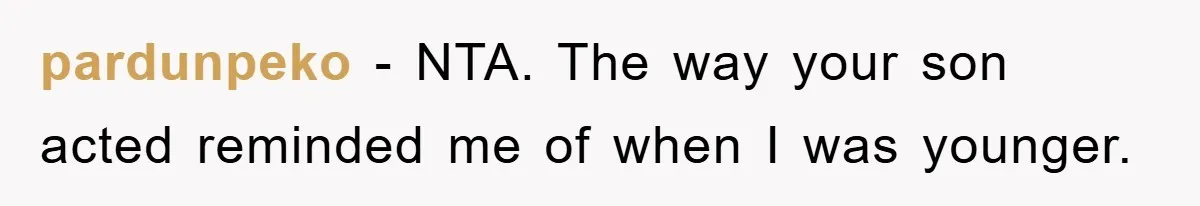 pardunpeko − NTA. The way your son acted reminded me of when I was younger.