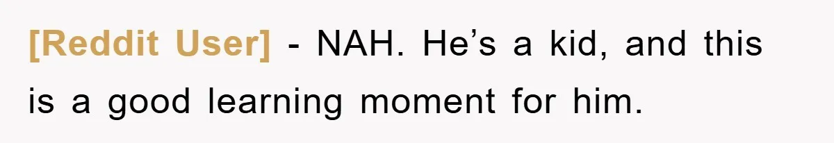 [Reddit User] − NAH. He’s a kid, and this is a good learning moment for him.