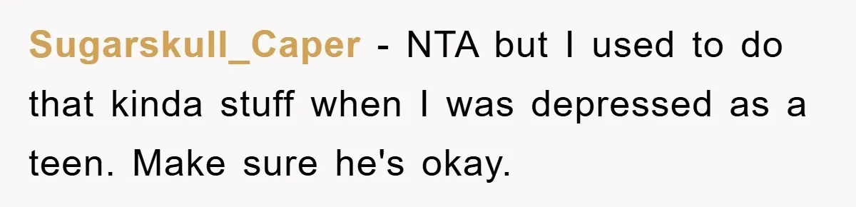 Sugarskull_Caper − NTA but I used to do that kinda stuff when I was depressed as a teen. Make sure he's okay.