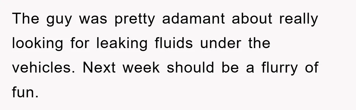 The guy was pretty adamant about really looking for leaking fluids under the vehicles. Next week should be a flurry of fun.