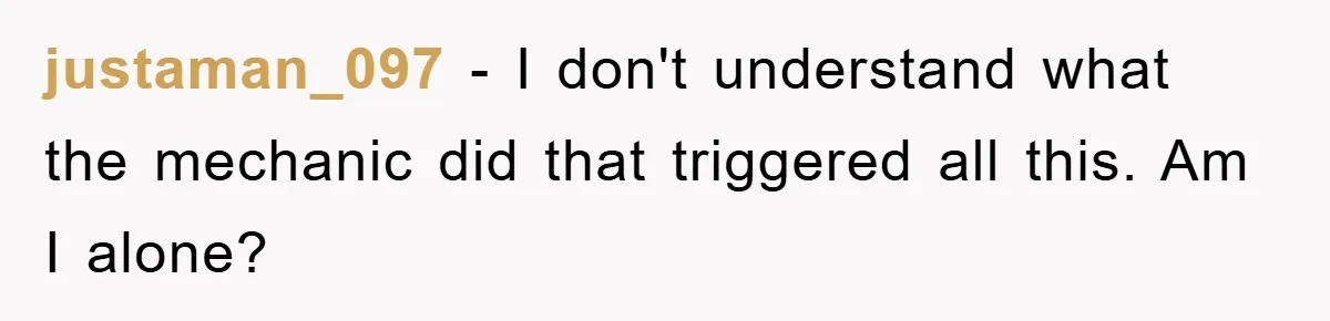 justaman_097 − I don't understand what the mechanic did that triggered all this. Am I alone?