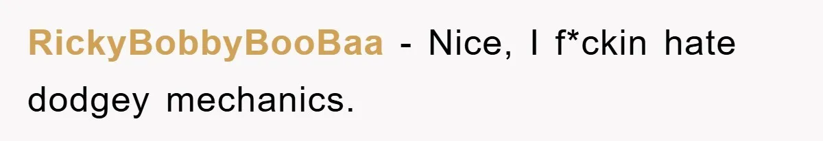 RickyBobbyBooBaa − Nice, I f*ckin hate dodgey mechanics.