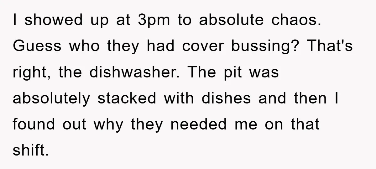 I showed up at 3pm to absolute chaos. Guess who they had cover bussing? That's right, the dishwasher. The pit was absolutely stacked with dishes and then I found out...