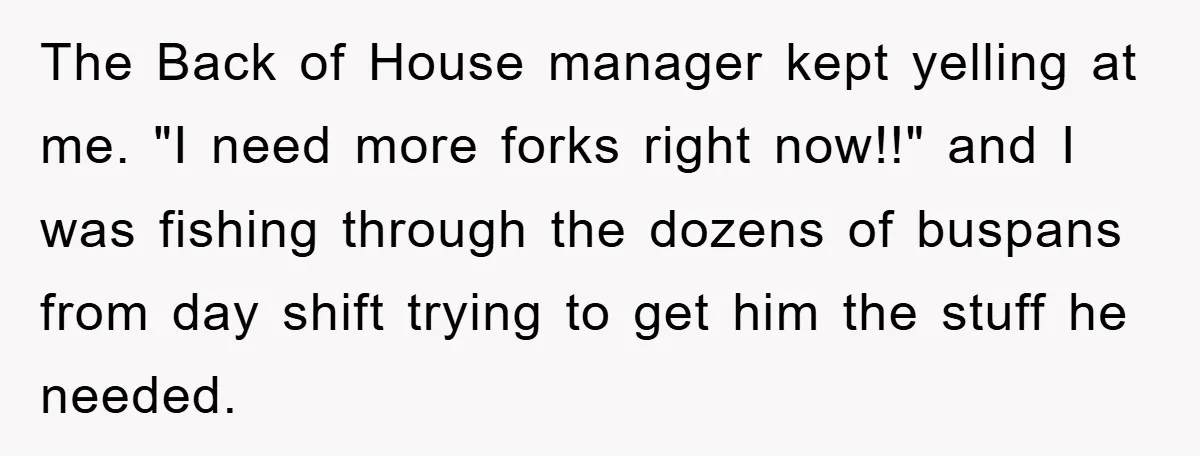 The Back of House manager kept yelling at me. "I need more forks right now!!" and I was fishing through the dozens of buspans from day shift trying to get...