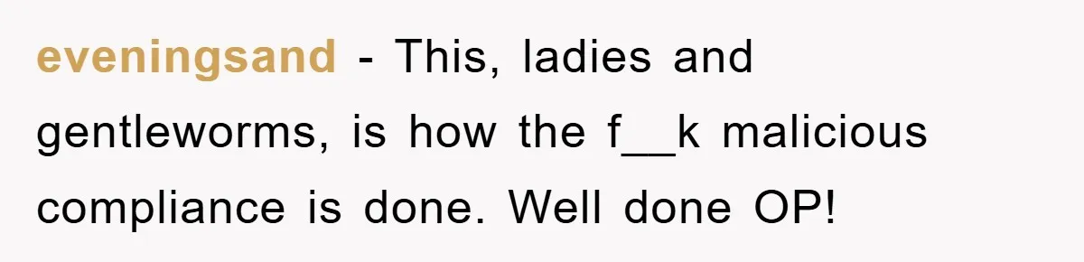 eveningsand − This, ladies and gentleworms, is how the f__k malicious compliance is done. Well done OP!