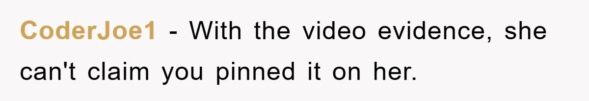 CoderJoe1 − With the video evidence, she can't claim you pinned it on her.