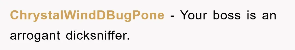 ChrystalWindDBugPone − Your boss is an arrogant dicksniffer.