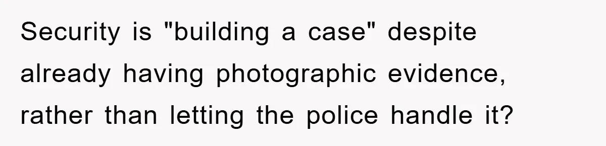 Worker Faces Mom’s Arrest For Stealing At Job Security is "building a case" despite already having photographic evidence, rather than letting the police handle it?
