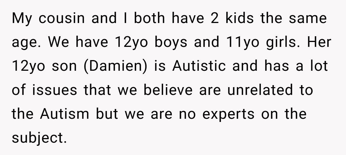 Mom Refuses To Let Daughter Visit Cousin After Autistic Son Crosses The Line