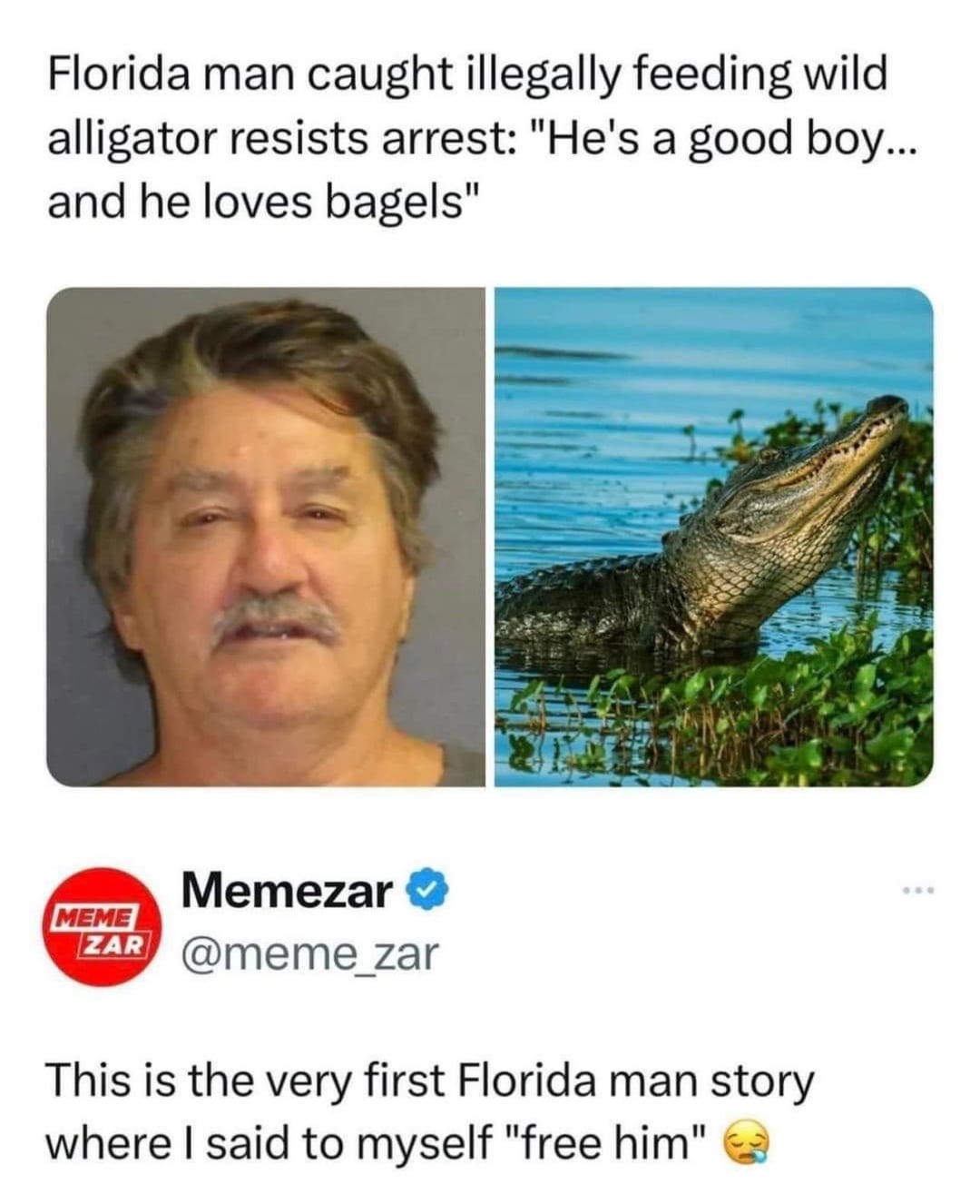 45 Brand-New Sentences So Unhinged You’ll Question Reality (And Probably Laugh Anyway)