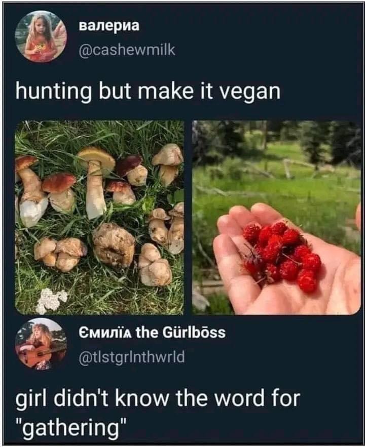 45 Brand-New Sentences So Unhinged You’ll Question Reality (And Probably Laugh Anyway)