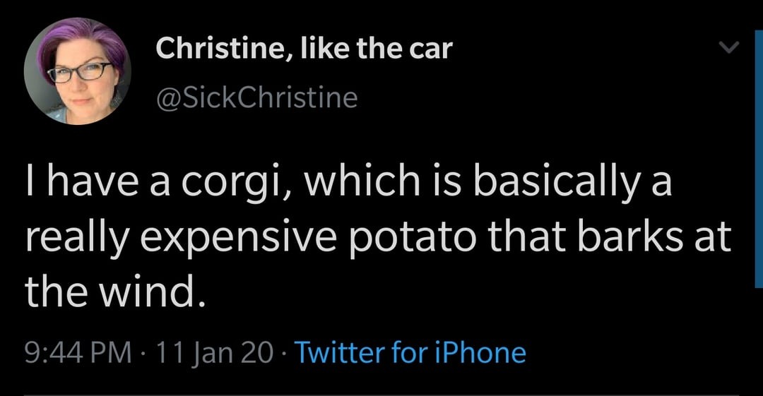 45 Brand-New Sentences So Unhinged You’ll Question Reality (And Probably Laugh Anyway)