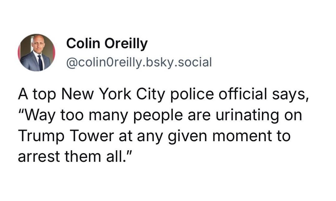 45 Brand-New Sentences So Unhinged You’ll Question Reality (And Probably Laugh Anyway)