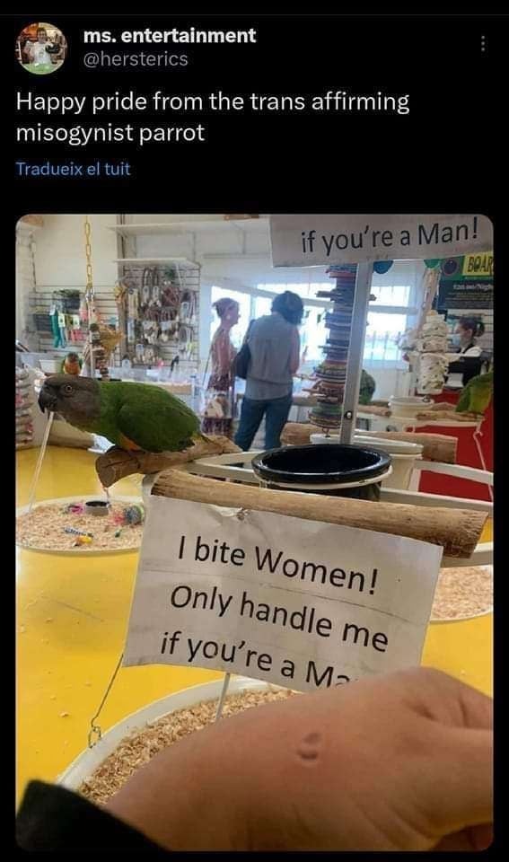 45 Brand-New Sentences So Unhinged You’ll Question Reality (And Probably Laugh Anyway)