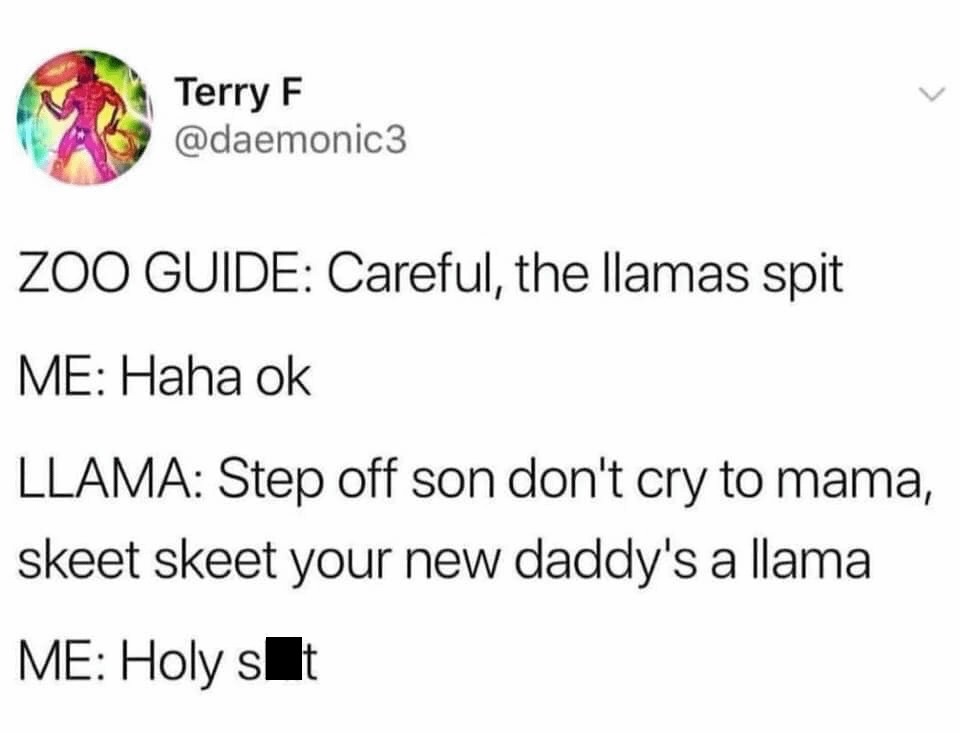 45 Brand-New Sentences So Unhinged You’ll Question Reality (And Probably Laugh Anyway)