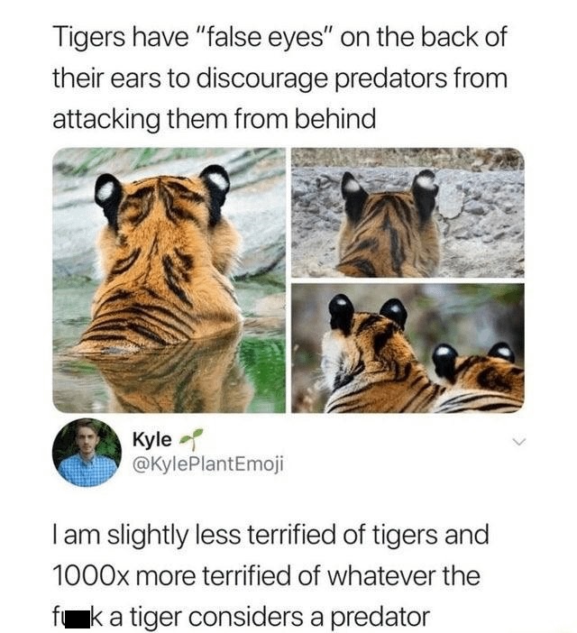 40 Posts That Look Normal Until Your Brain Yells, “Hol Up!”