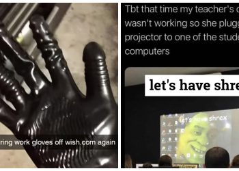 40 Posts That Look Normal Until Your Brain Yells, “Hol Up!”