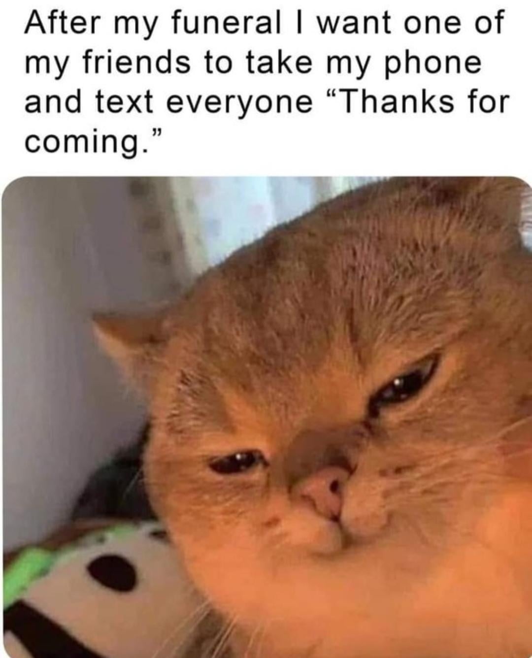 40 Posts That Look Normal Until Your Brain Yells, “Hol Up!”