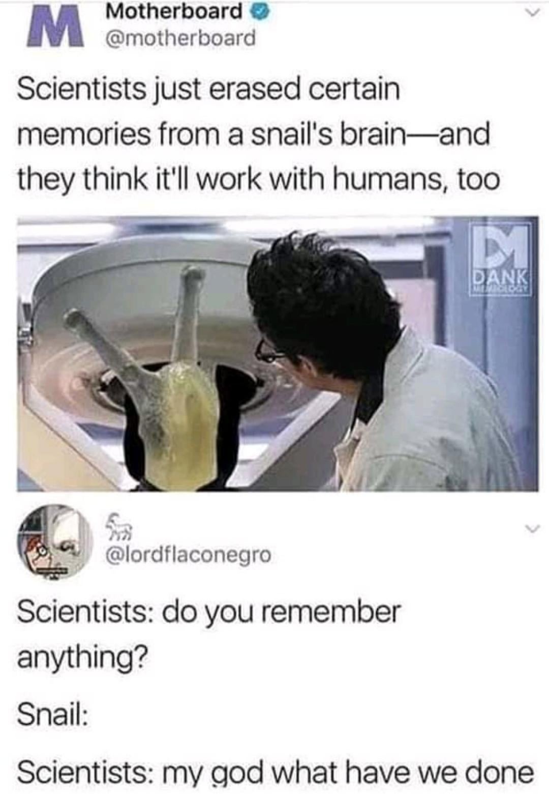 40 Posts That Look Normal Until Your Brain Yells, “Hol Up!”