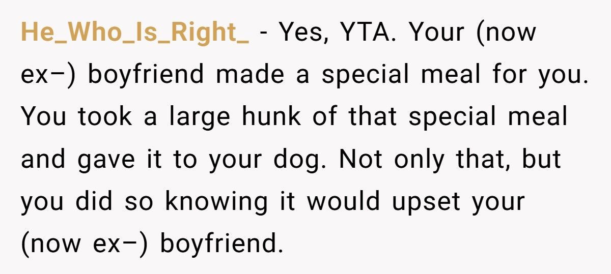 Woman Feeds Dog A Quarter Of Roast Boyfriend Cooked, Then Acts Shocked When He Breaks Up With Her